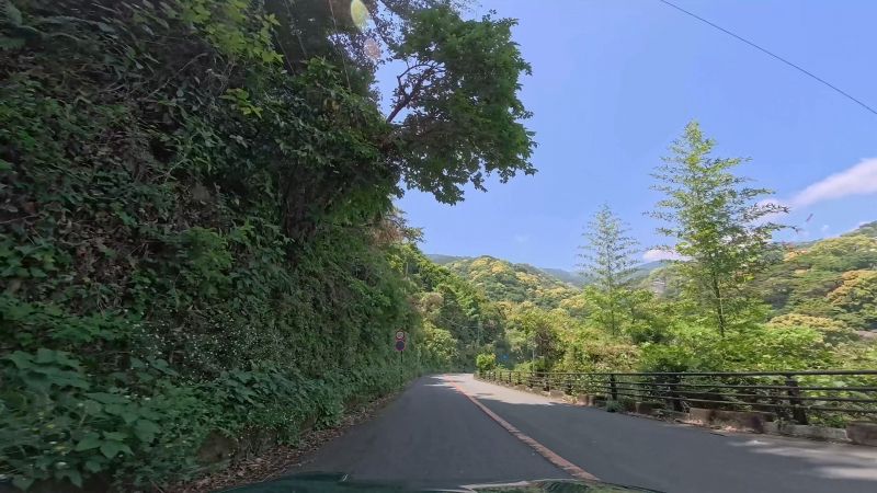 頼朝ライン